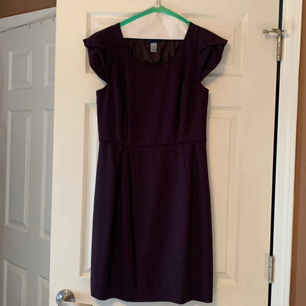 Size 6 J.Crew Dress